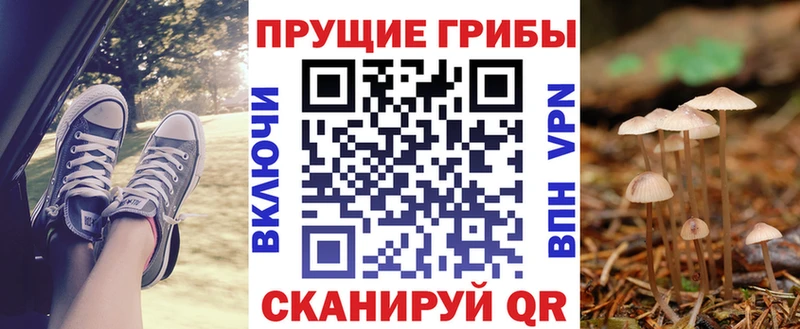 Галлюциногенные грибы мицелий  hydra зеркало  Новочебоксарск 