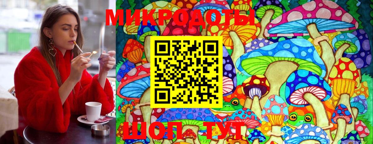 как найти наркотики  Галлюциногенные грибы GOLDEN TEACHER  Вход с VPN  Новочебоксарск 